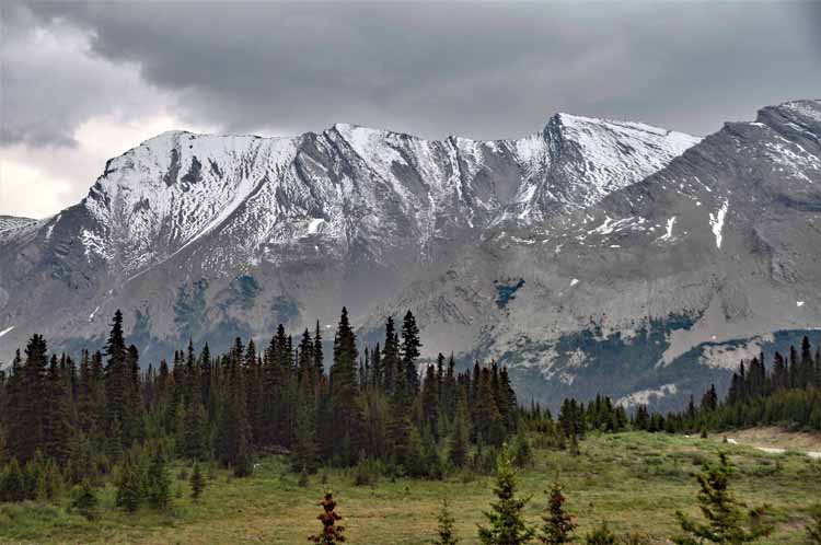 the rockies